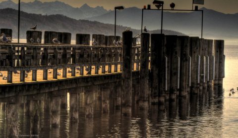 Gallerie Johannes Gürtler See 2