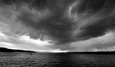 Gallerie Johannes Gürtler See 5