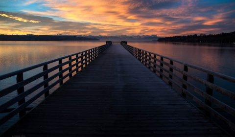 Gallerie Johannes Gürtler See 8